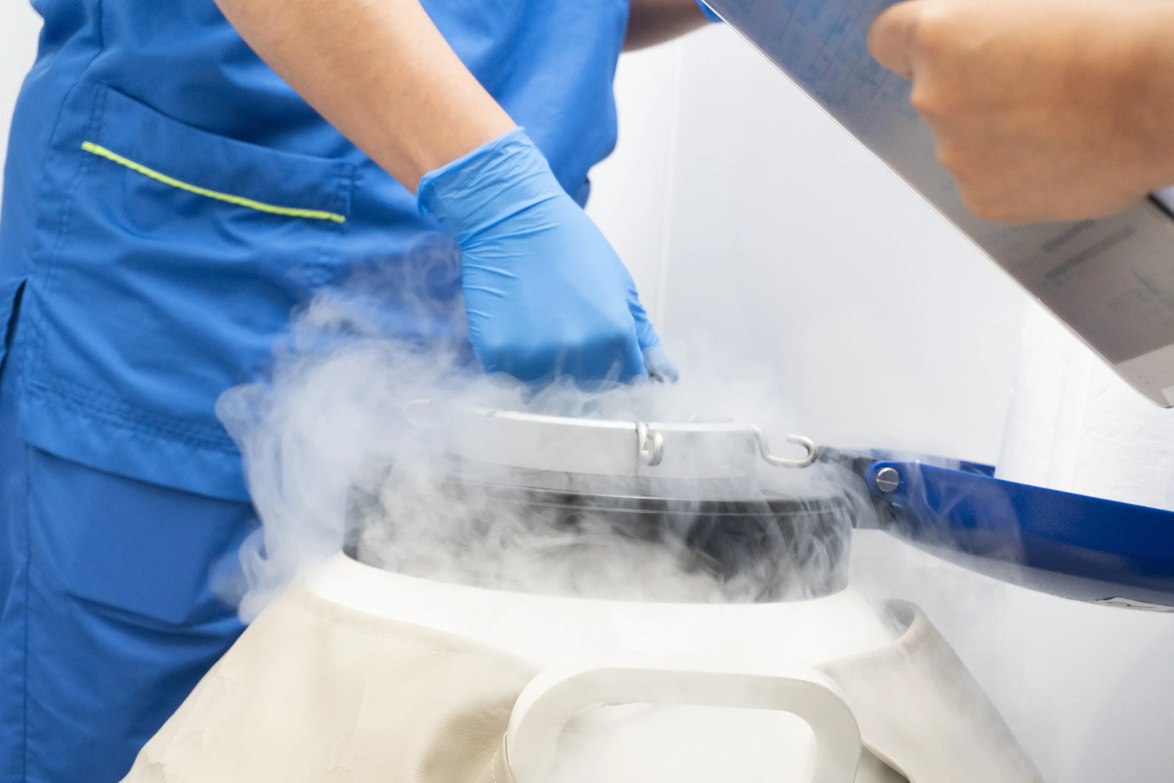 A Procelk laboratory technician lifting a rack out of the liquid nitrogen tank, surrounded by cryogenic vapour.