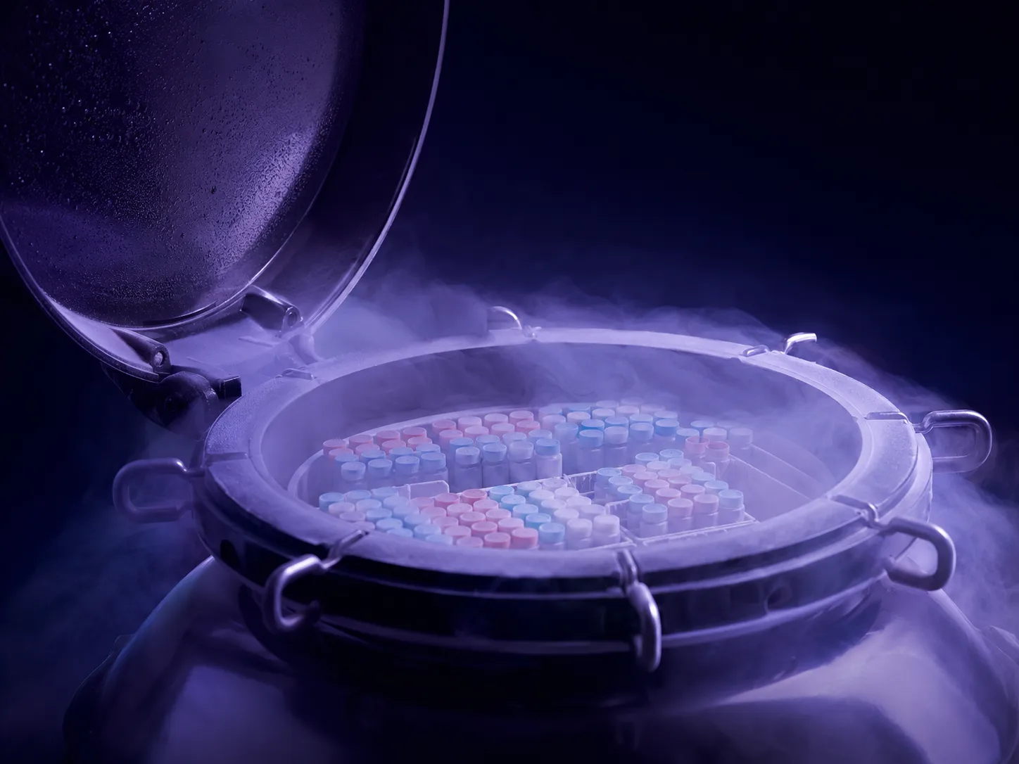 Open liquid nitrogen tank, with vapor and trays of cryopreserved stem cell vials.