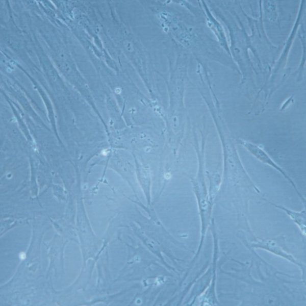 Captura de pantalla 2026-02-24 a la(s) 4.08.05 a.m.